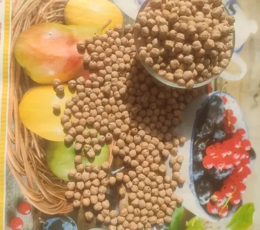 Турецький горох нут.Крупний нут.- фото № 1