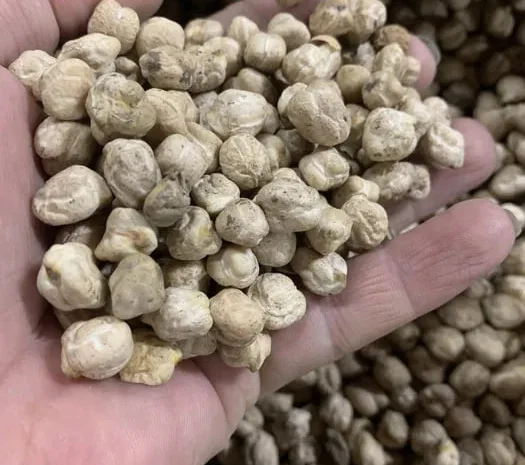 Нут , турецький горох- фото № 1