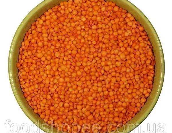 Нут, насіння соняшника, сочевиця- фото № 1