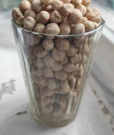 Горох нут, холодок- фото № 1