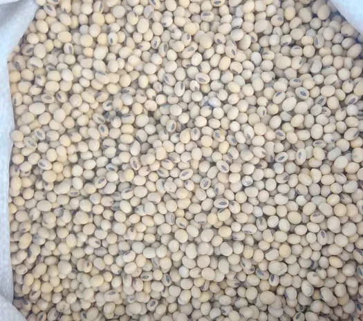 Продається посівна соя- фото № 1