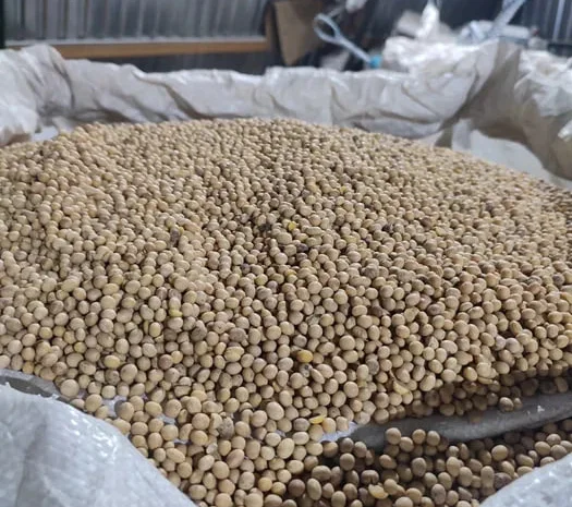 Соя ОЛДХЕМ 2025 року посівна- фото № 1