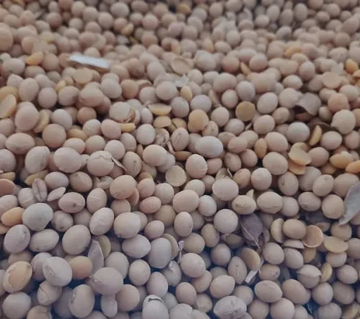 Продам сою сорт"Абі" під раундап і пшеницю 4-клас- фото № 1