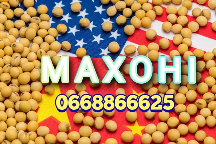 Насіння сої Махоні- фото № 1