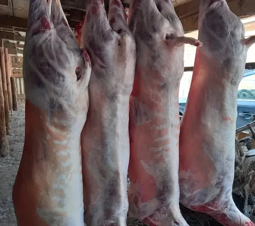 Баранина та ягнятина на продаж, живою вагою та тушкою- фото № 1