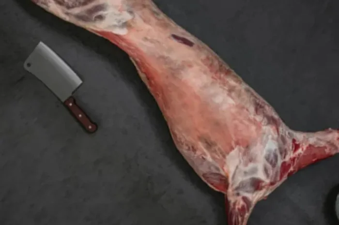 Продаж тушок ягнят та баранини- фото № 1