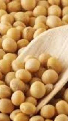 Закупаем сою ГМО и без ГМО- фото № 1