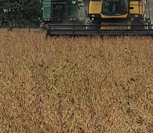 Купую сою ГМО та не ГМО в м. Львів- фото № 1