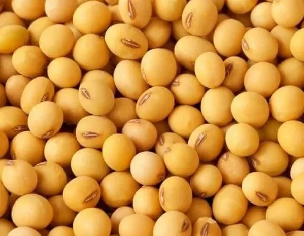 Сорт сои ОАЦ Страйв - репродукция- фото № 1