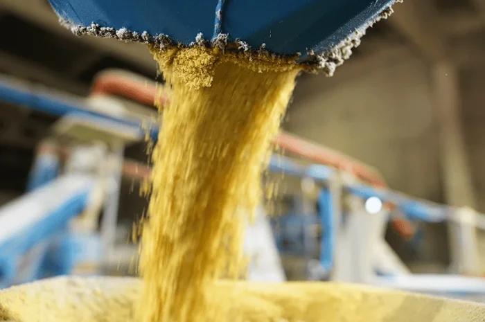 Закупаем НЕ ГМО сою от производителей на постоянной основе- фото № 4