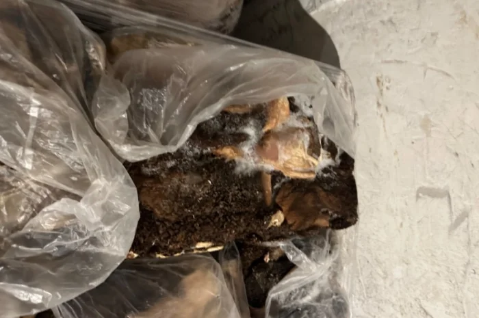 Рубец для животных- фото № 1