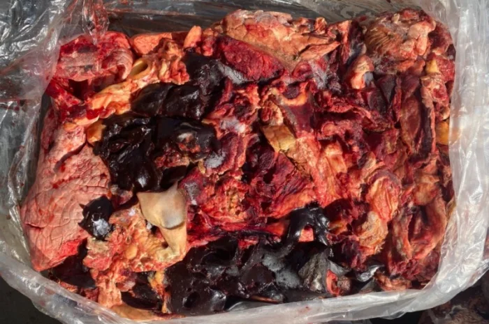 Куплю говяжью тех зачистку- фото № 1