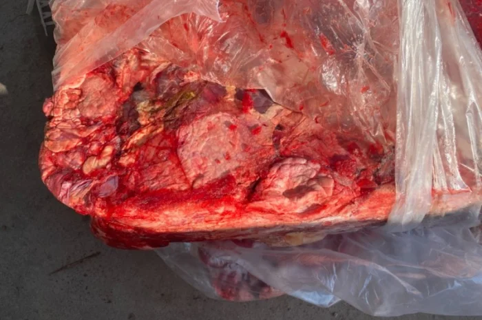 Куплю говяжью тех зачистку- фото № 2