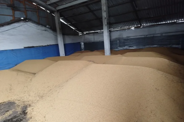 Соя ГМО высокого качества- фото № 1