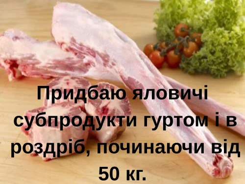 Куплю яловичі субпродукти гуртом або від 50кг -сухожилля- фото № 1