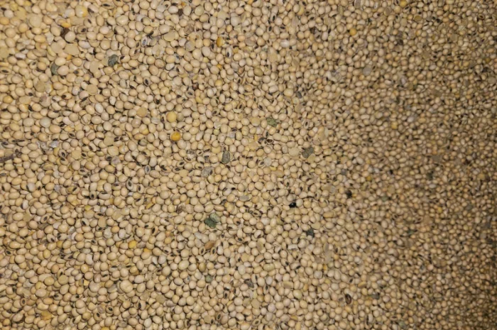 Закуповуємо Сою- фото № 2