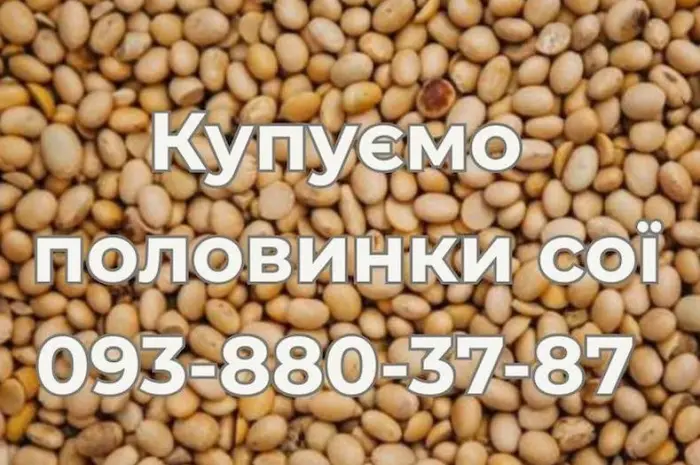 Купівля половинок сої на постійній основі- фото № 1