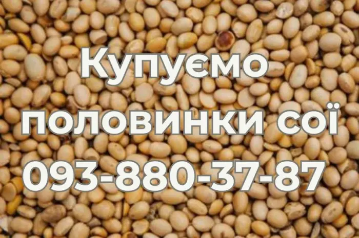 Купуємо половинки сої. Самовивіз- фото № 1