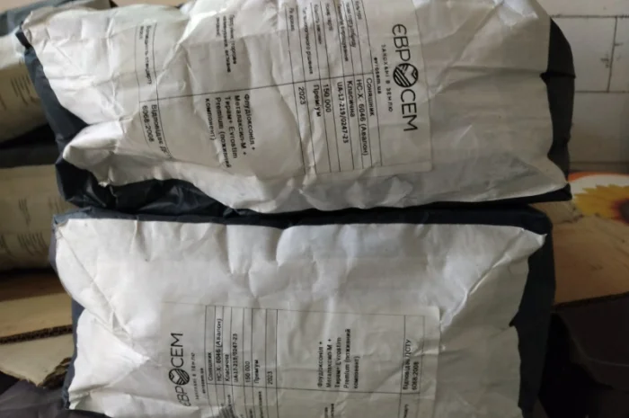 Продам насіння класичного соняшнику Авалон 2 п.о- фото № 2