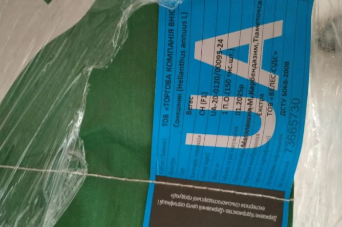 Продам насіння соняшнику Шенон- фото № 4