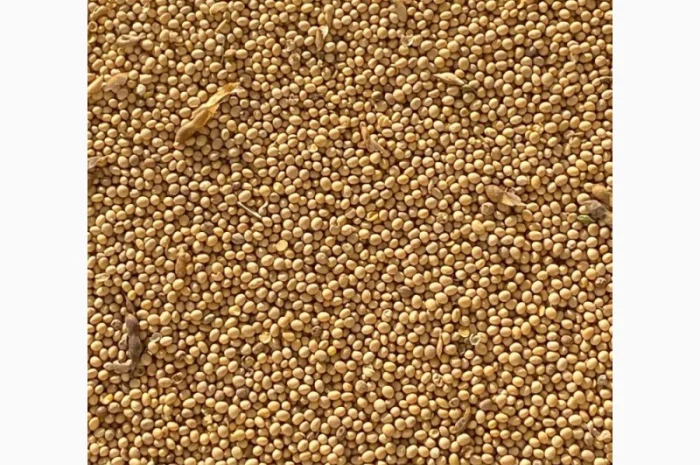 Покупаем СОЮ без ГМО- фото № 1