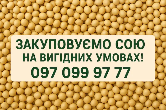 Закупівля сої на постійній основі з самовивозом- фото № 1