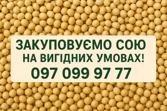Закуповуємо сою на вигідних умовах- фото № 1