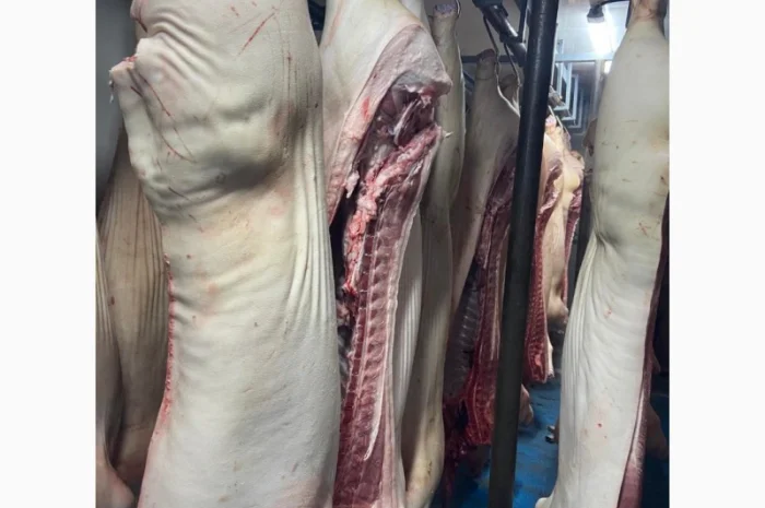 Полутуши- фото № 1