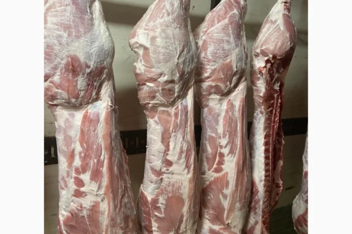 Полутуши- фото № 2