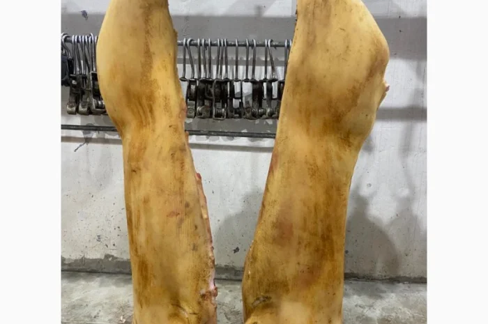 Полутуши- фото № 3