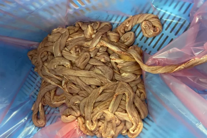 Свиная кишка тонкая- фото № 1