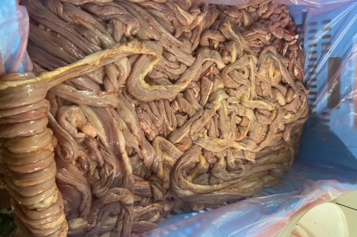 Свиная кишка тонкая- фото № 2