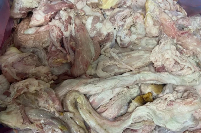 Свиной проходник- фото № 1