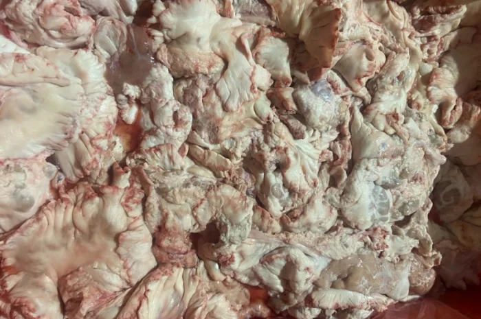 Свиной жир кишечный- фото № 1