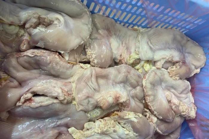 Свиной желудок- фото № 1