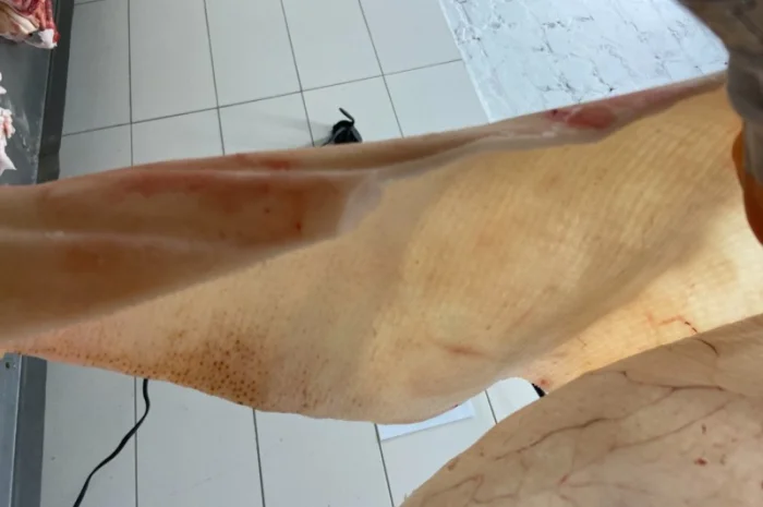 Качественная свиная шкура в продаже- фото № 1