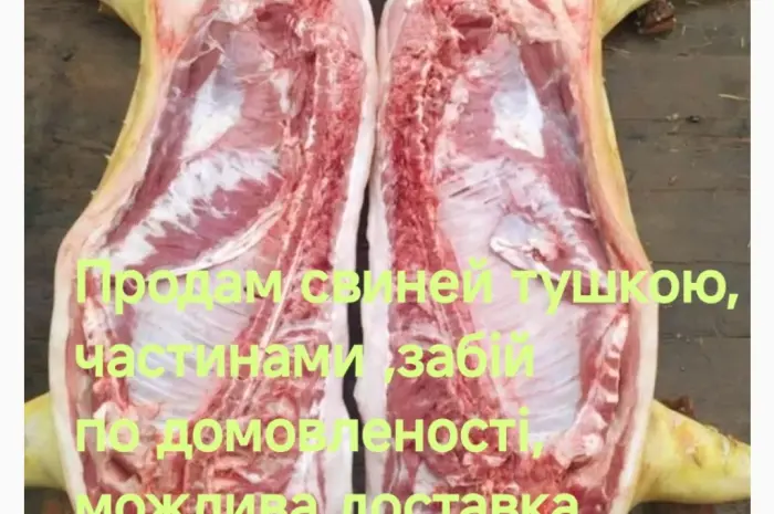 Продам домашнюю свинину- фото № 1