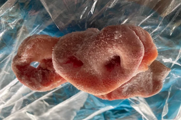 Продам пятак свиний- фото № 1