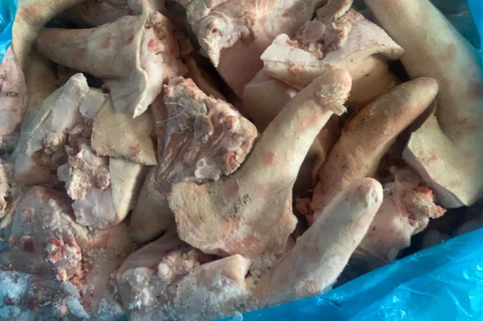 Продам хвіст свиний- фото № 1