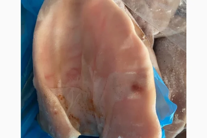 Продам вуха свині- фото № 1