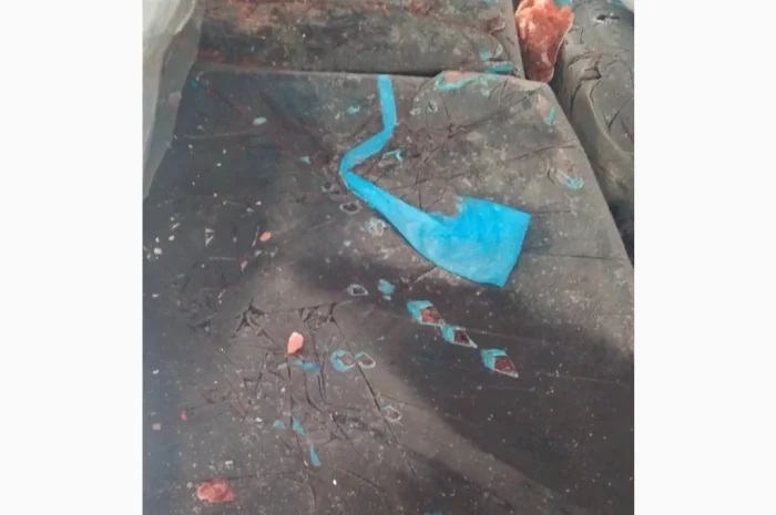 Продам кров свинячу- фото № 1