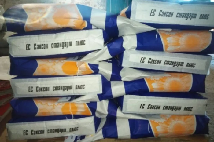 Соняшник ЕС Саксон- фото № 2