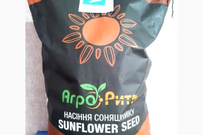 Соняшник Амарок- фото № 4