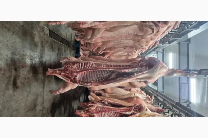 Маєм на продаж напівтушу свинну- фото № 1