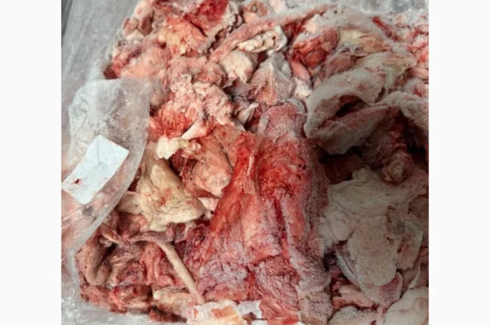 Жилка свиняча харчова у продажу- фото № 3