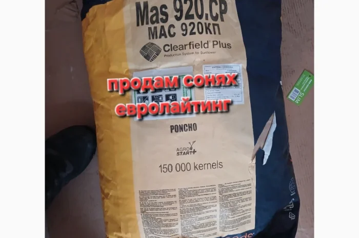 Продам соняшник Евролайтинг 2 мішка- фото № 1