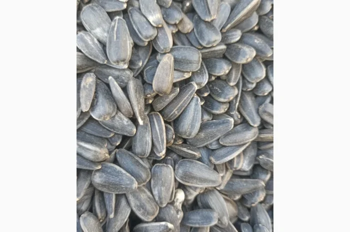 Продам кондитерський соняшник- фото № 1