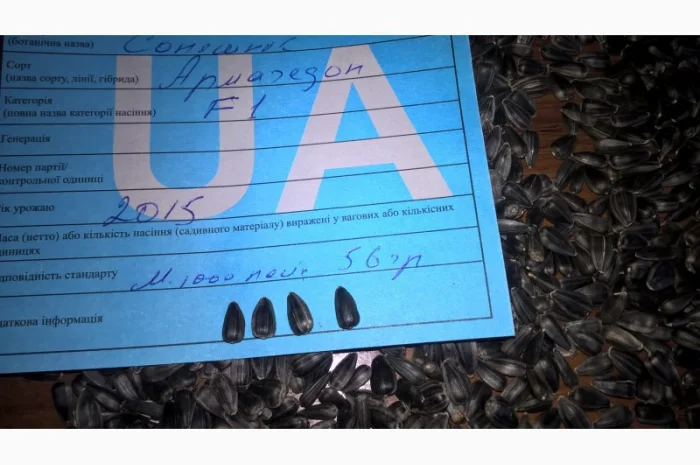 Семена подсолнечника F1 "Армагедон". Под Евро-лайтинг- фото № 1