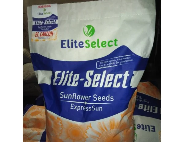 Насіння соняшника ЕС Саксон. Стійкий до 50 гр гранстар. 7+ Вовчок- фото № 1