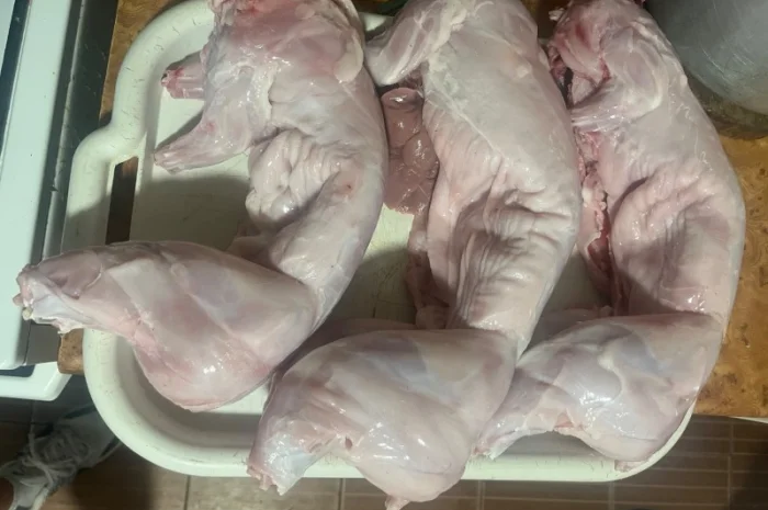 Домашнее мясо кролика на продажу- фото № 1